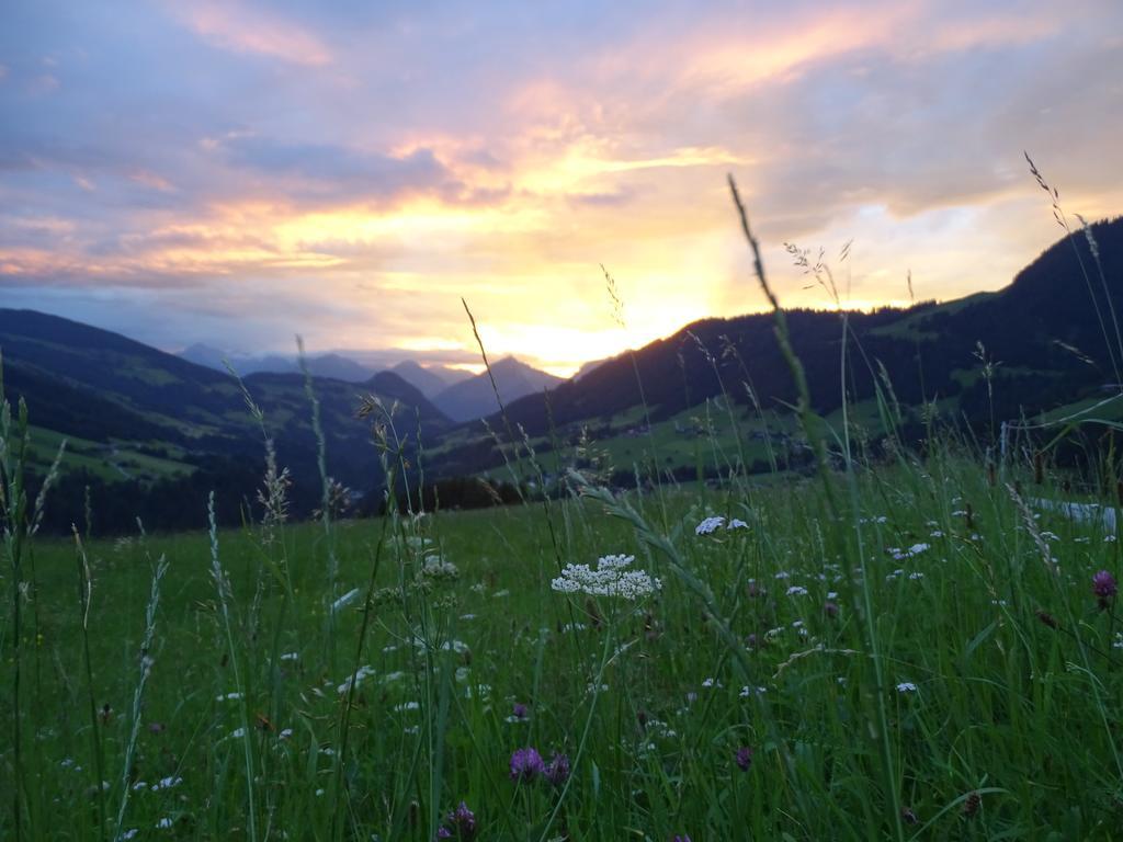 Anna's Appartement Alpbach Extérieur photo