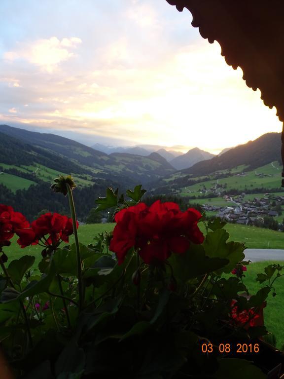 Anna's Appartement Alpbach Extérieur photo