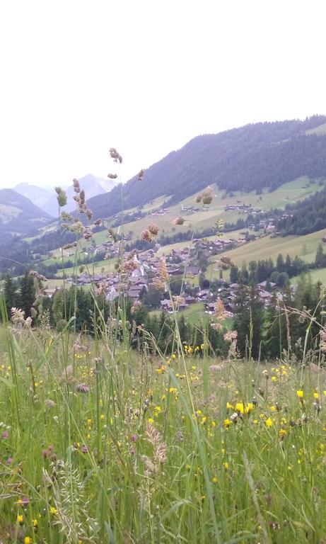 Anna's Appartement Alpbach Extérieur photo